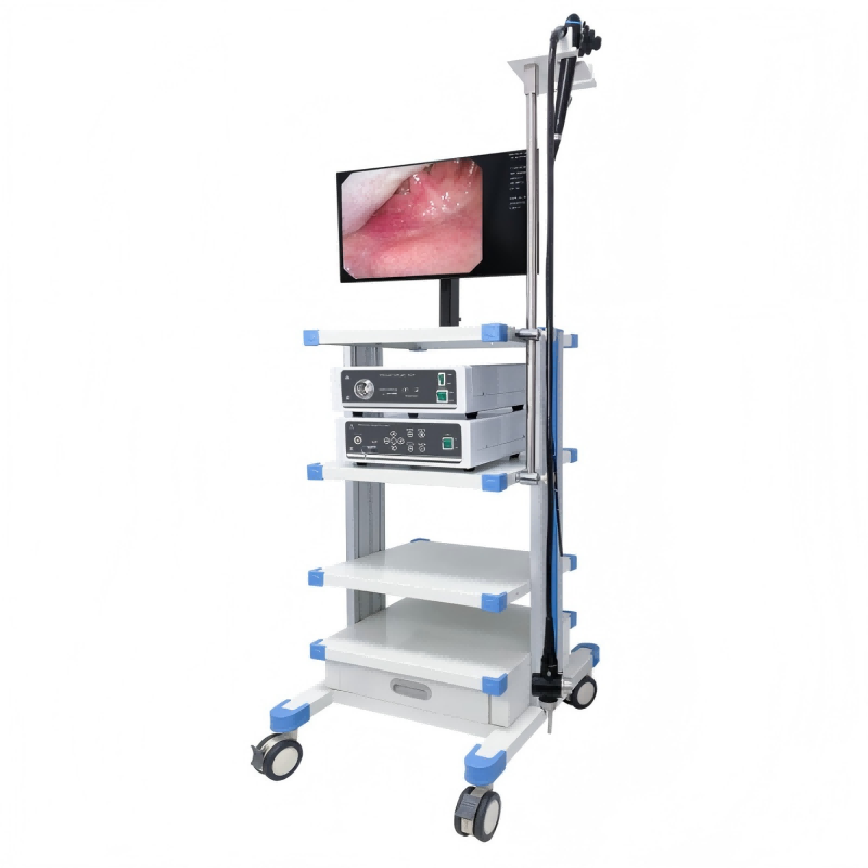 The EMV‑200 Video Gastroscope