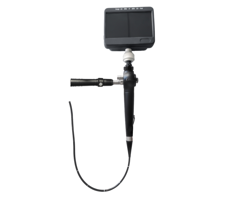 The GBS‑5 Portable Video Ureteroscope